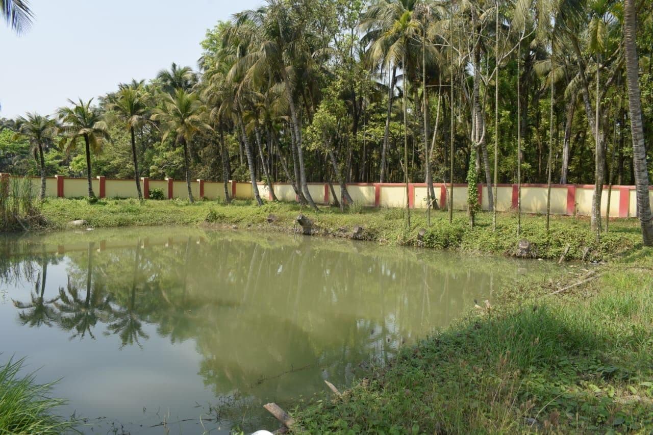 3BHK Residential for Sale in Raypur West Bengal, Kolkata | 66 Cents