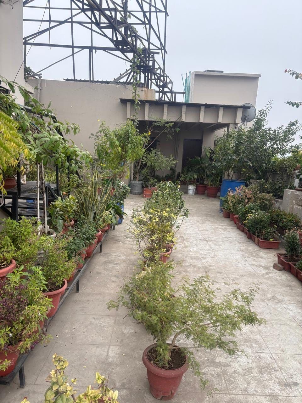 4BHK Residential for Sale in Gomti Nagar, Lucknow, Uttar Pradesh, lucknow | 66 Cents