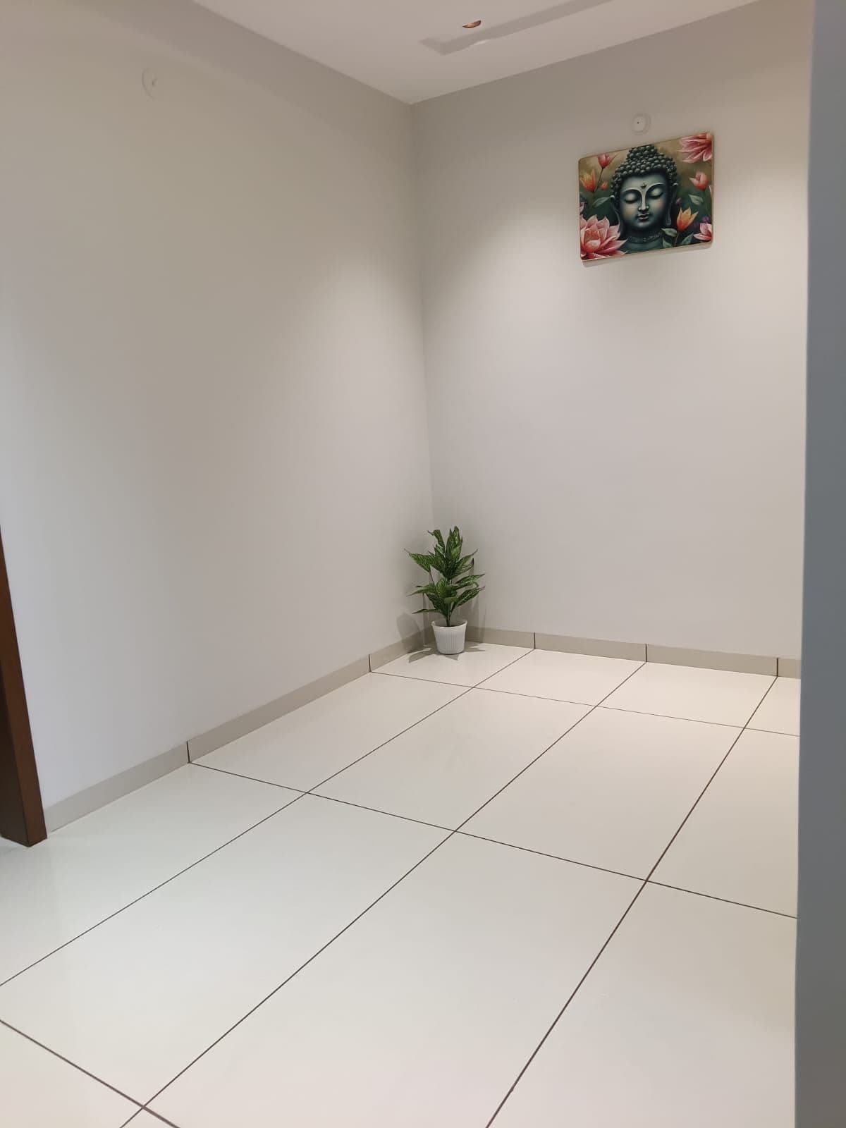3BHK Residential for Sale in Mayakhedi, Indore | 66 Cents