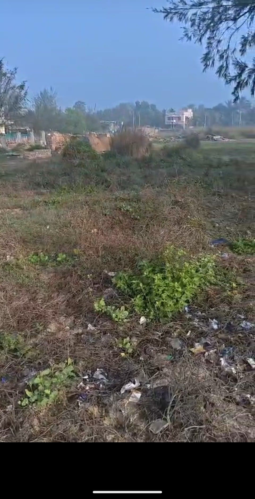  land for Sale in Dadanpatra West Bengal, Kolkata | 66 Cents