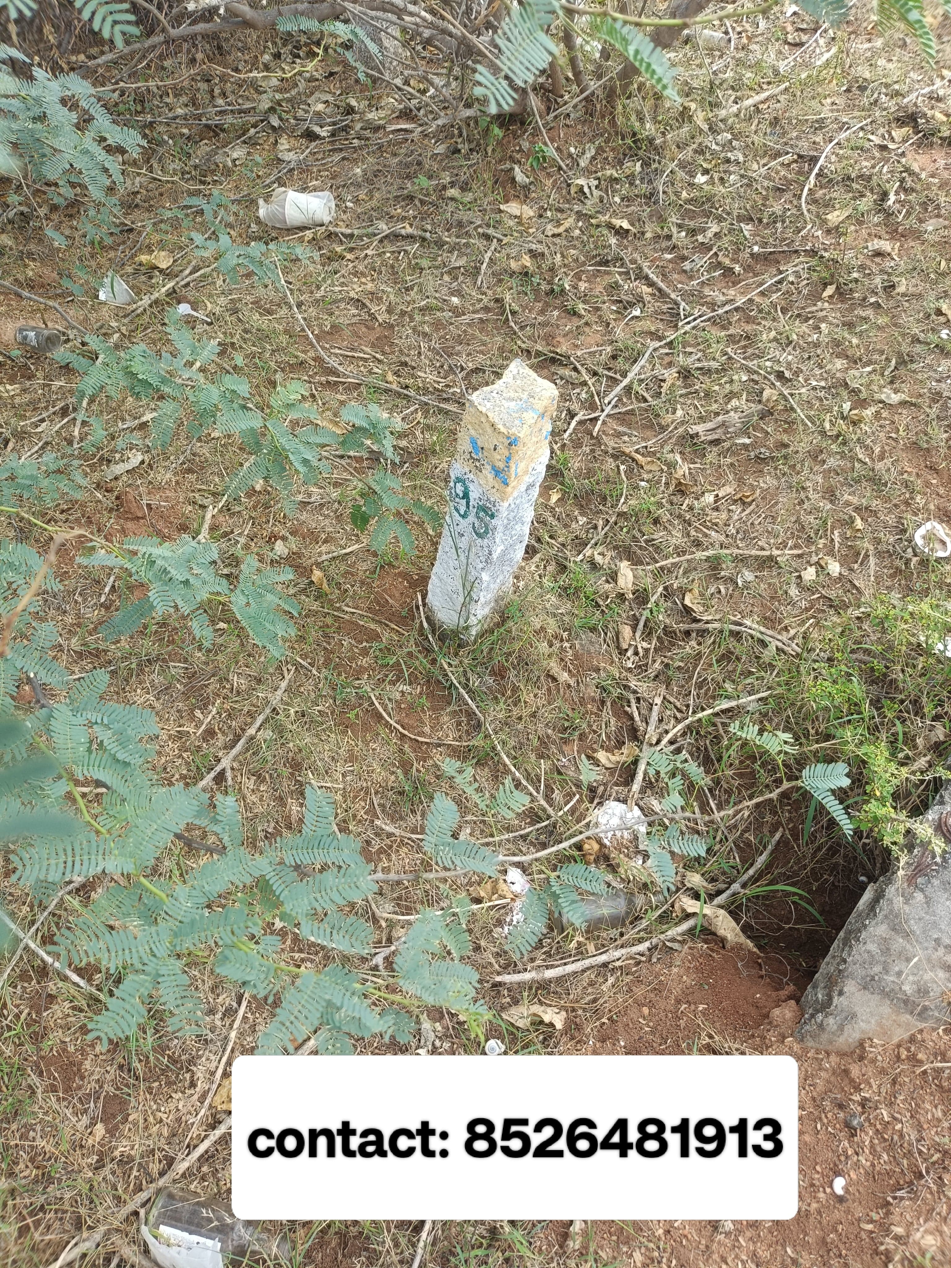  land for Sale in Saradha College, Ariyakulam, Tamil Nadu, Tirunelveli | 66 Cents