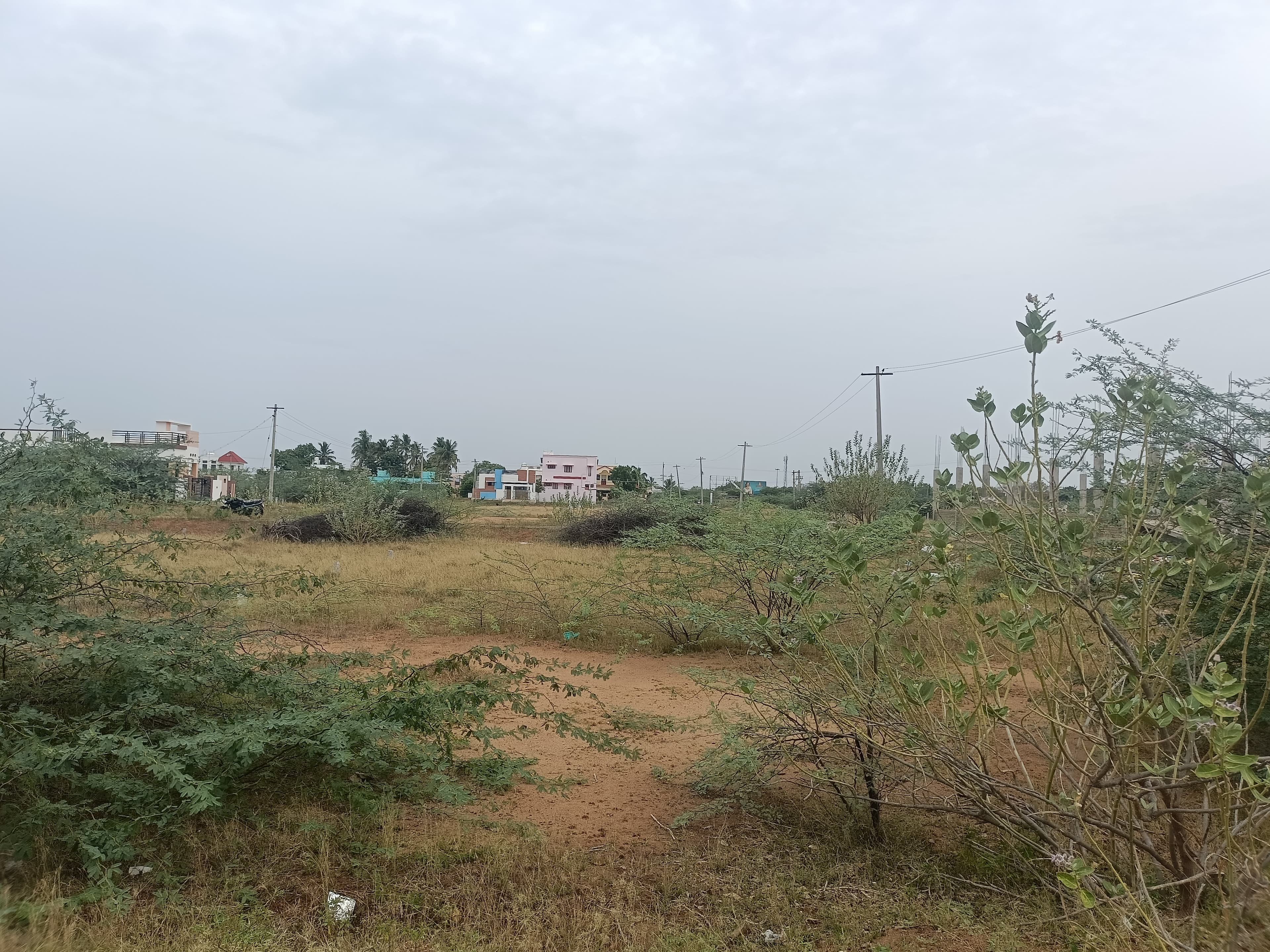  land for Sale in Saradha College, Ariyakulam, Tamil Nadu, Tirunelveli | 66 Cents